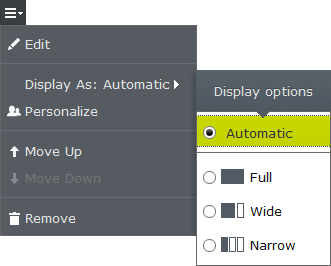 The display option available for selection in the user interface.
