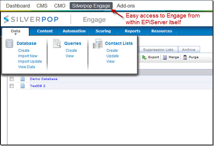 allowing access to Engage within EPiServer via single sign-on