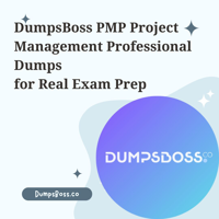 PMP Project Management Professional Dumps